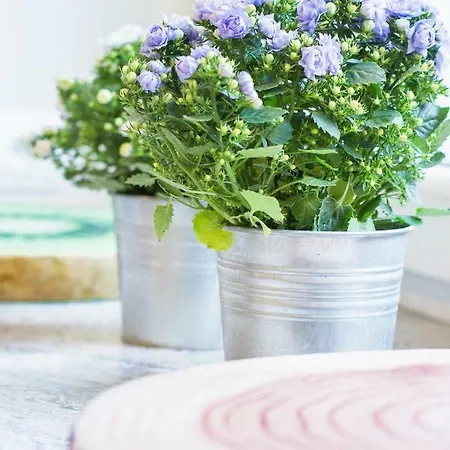 My Old Town - Dluga 56 דירה