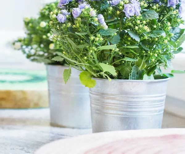 My Old Town - Dluga 56 Apartment